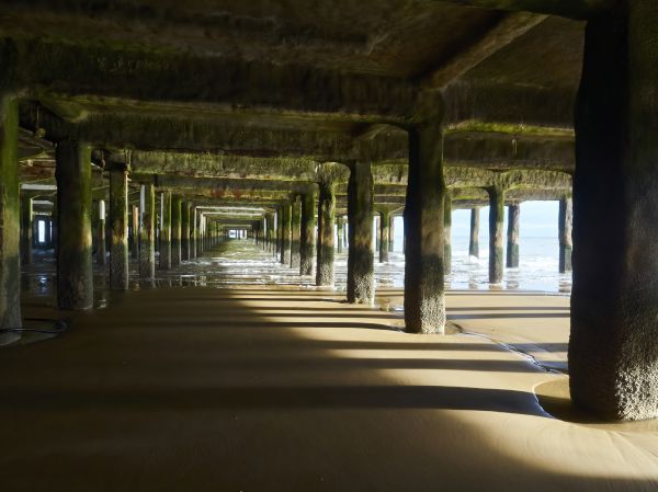 Pier And Beam Leveling in Daphne